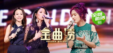 《综艺大热门》 从大火节目到全民娱乐的现象演变